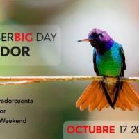 Únete este sábado 17 de octubre al October Big Day 2020 & Global Bird Weekend